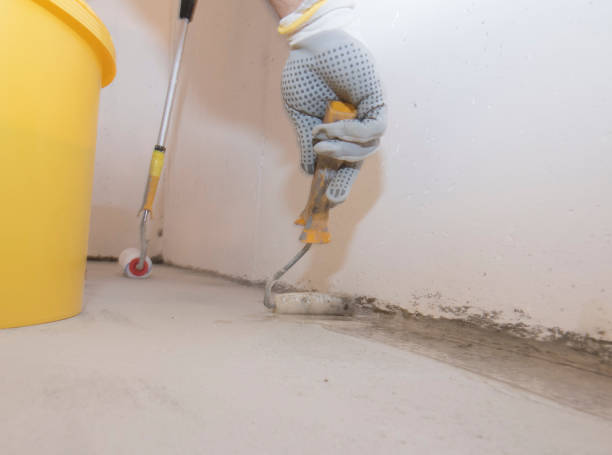 Best Fumigation Services  in Alamo, GA